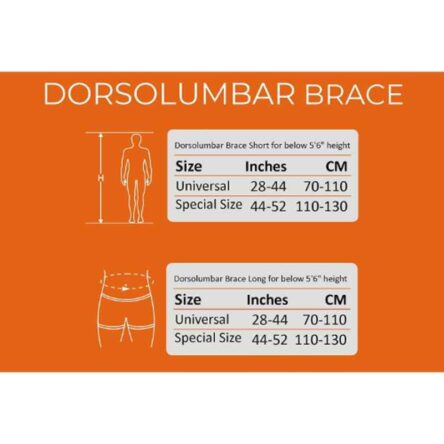 Adore Body Dorsolumbar Brace