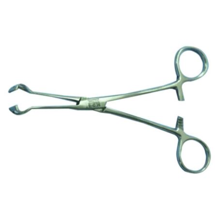 KDB 8 inch Stainless Steel Babcock Forceps