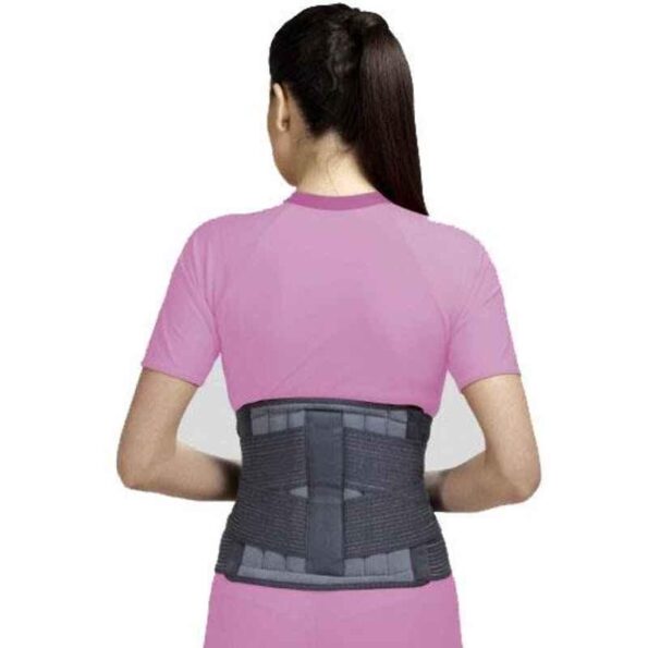 Flamingo Lumbar Sacro Support