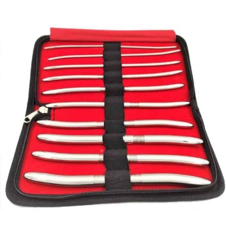Forgesy 10 Pcs Stainless Steel Double Ended Hegar Uterine Dilators Set with Carrying Case