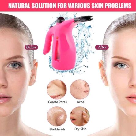DEE Sons 3 In 1 Facial Steamer for Cold