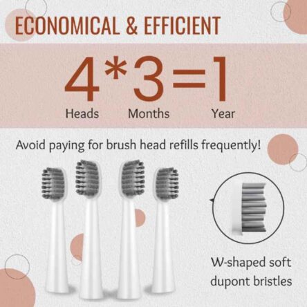 HealthSense Electric Toothbrush Rechargeable Sonic Brush for Adult with 4 Brush Heads