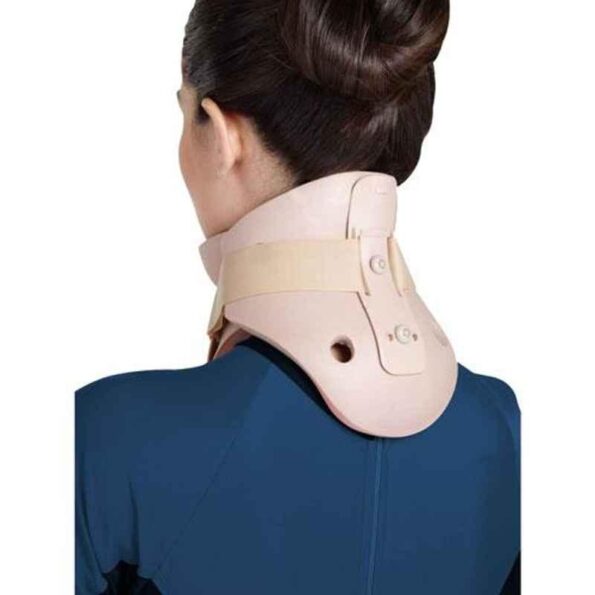 Size: 9-10 cm (Extra Large)