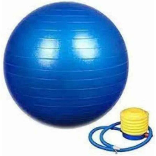 FAW 100kg Blue Gym Ball with Pump
