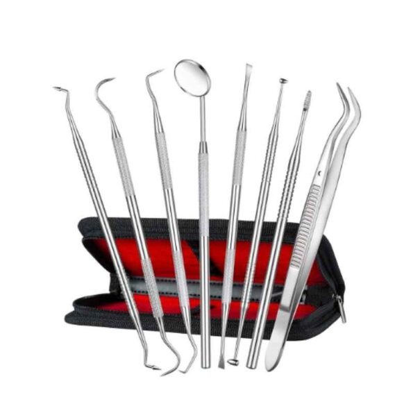 Forgesy GSS85 8 Pcs Stainless Steel Dental Hygiene Tool Set