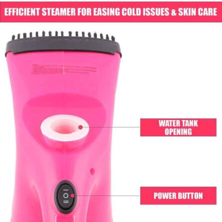 DEE Sons 3 In 1 Facial Steamer for Cold