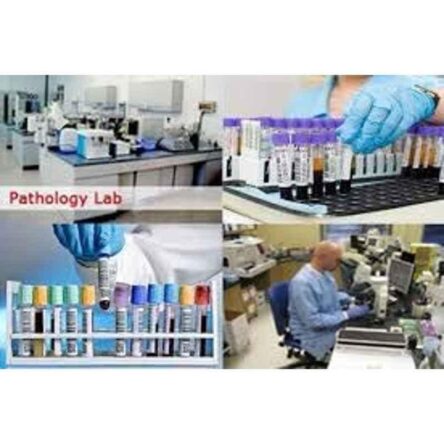 Lab Junction 3500rpm 15ml Medico Handi Shape Centrifuge Machine with 6 Tubes