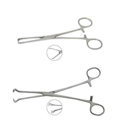 Forgesy Stainless Steel 8 inch Babcock Forceps & 6 inch Allis Forceps Set