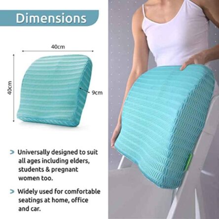 HealthSense Soft-Spot BC21 Memory Foam Ice Blue Orthopedic Backrest Cushion for Study