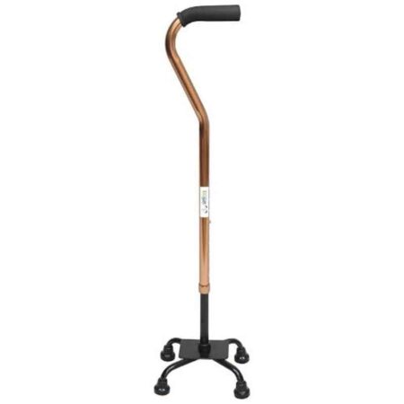 Entros 4 Leg Straight Walking Stick