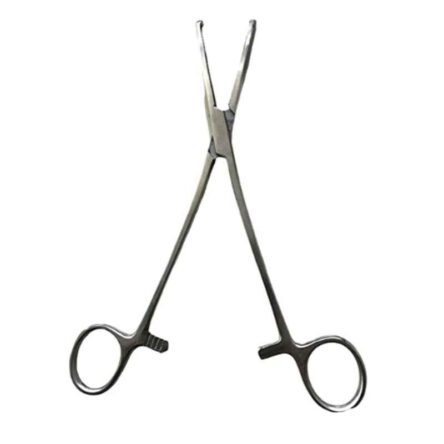 Jainco 8 inch Steel Straight Kocher Forceps