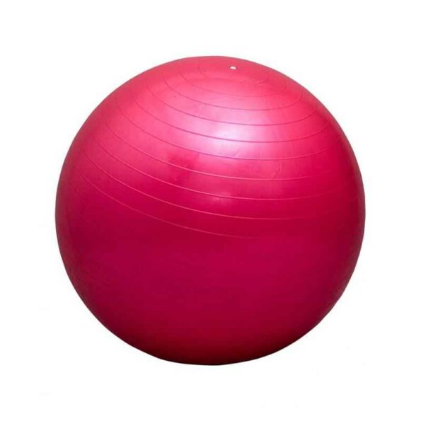 Prokyde 75cm Pink Gym Ball