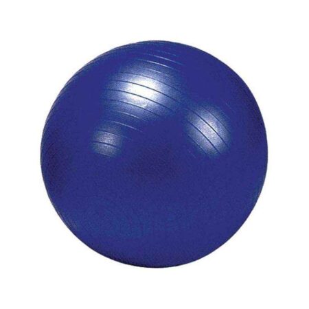 Prokyde 65cm Blue Gym Ball