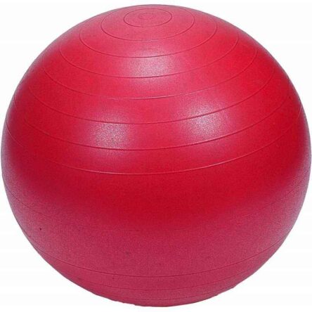 Prokyde 100cm Red Gym Ball