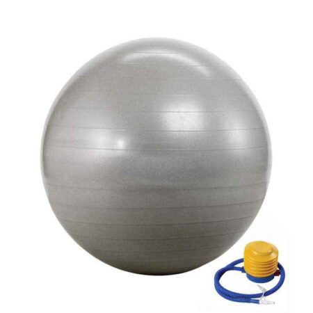 Prokyde SeG-Prkyd-32 55cm Silver Gym Ball