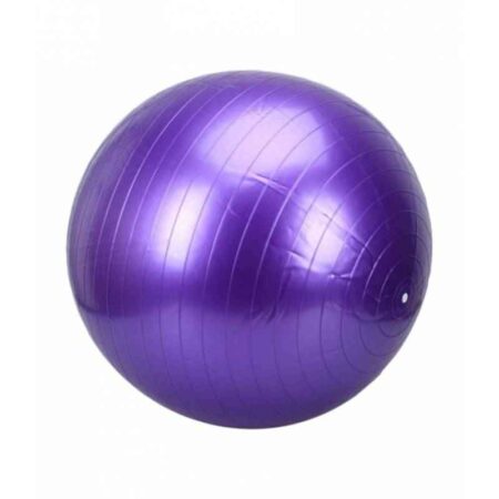 Prokyde 65cm Purple Gym Ball