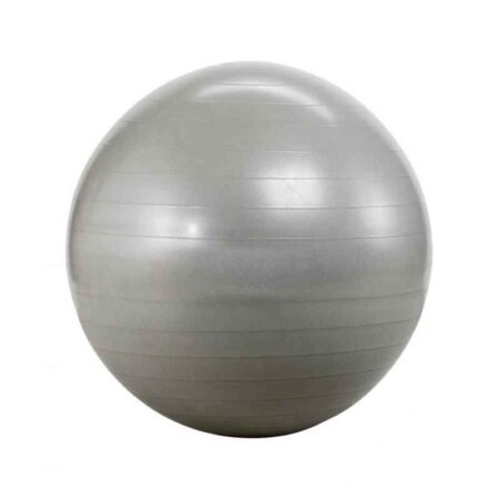 Prokyde 85cm Silver Gym Ball