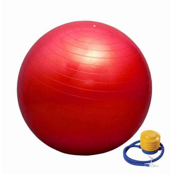 Prokyde SeG-Prkyd-37 55cm Red Gym Ball