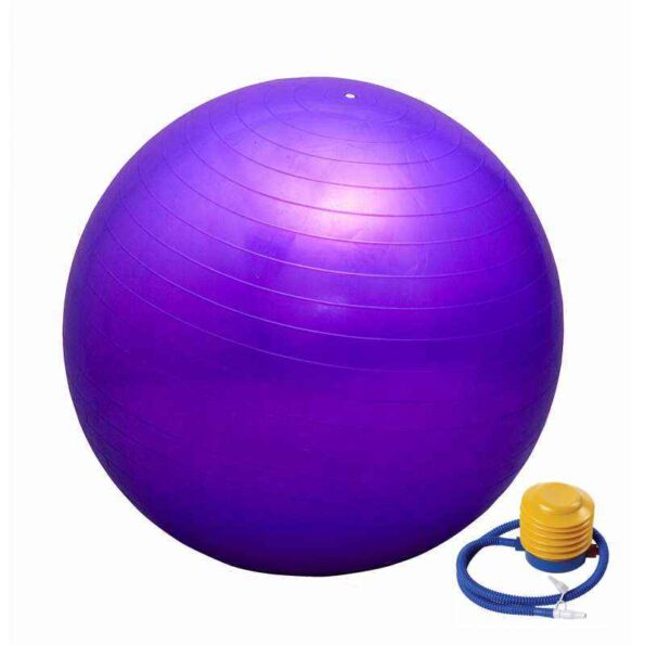 Prokyde SeG-Prkyd-37 55cm Purple Gym Ball