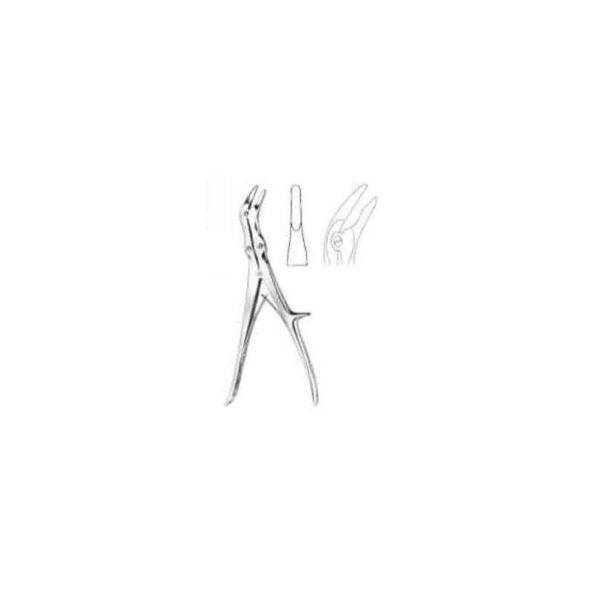 Downz 23cm Echlin
