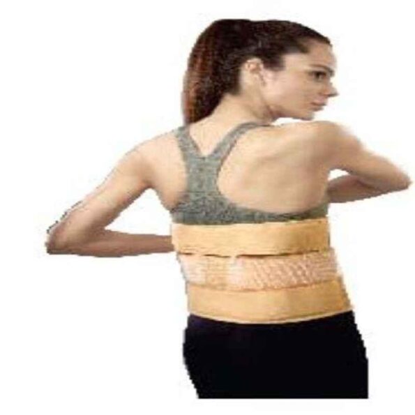 Vissco XL Eco Frame Back Support