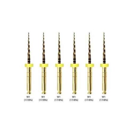 Waldent 6 Pcs W3 (20/4%) 25mm Wal-Flex Gold Rotary Files Set