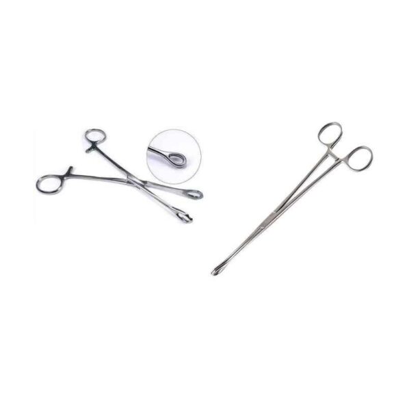 Forgesy 2 Pc Stainless Steel Sponge Forcep Set