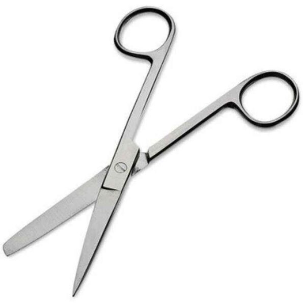 Forgesy GSS27 10 inch Stainless Steel Blunt Sharp Straight Dressing Scissor