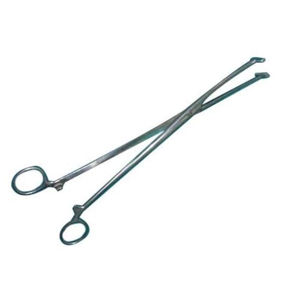 CR Exim 15-20cm Polished Finish Stainless Steel Allis Tissue Forcep for Surgery (Pack of 2)