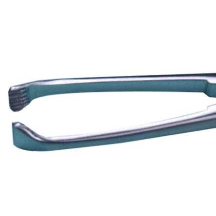 KDB 8 inch Stainless Steel Allis Tissue Holding Forceps