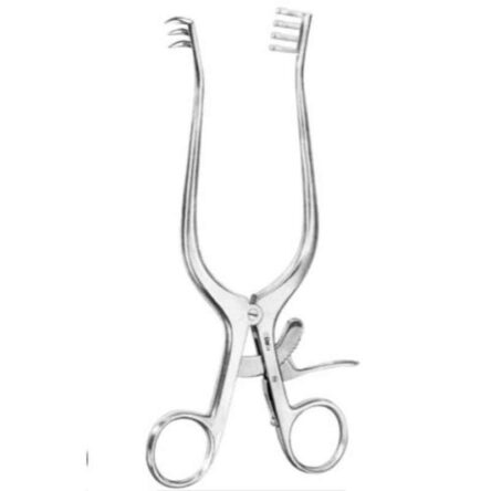 Alis 25cm/ 10 inch Weitlaner 3: 4 Teeth Blunt