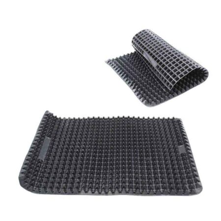 iLife Acupressure Mat