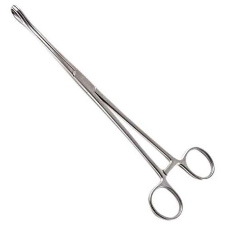 Forgesy 2 Pc Stainless Steel Sponge Forcep Set
