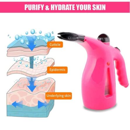 DEE Sons 3 In 1 Facial Steamer for Cold