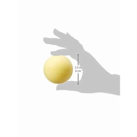 Tynor Ortho Exercising Ball