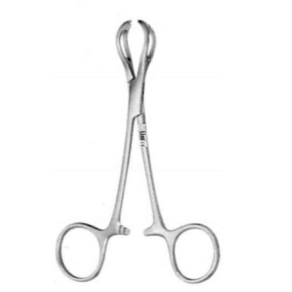 Alis 12cm/ 5 inch Lane Gland Holding Forceps