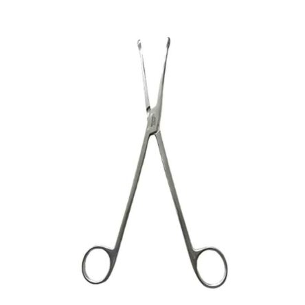 Jainco 9 inch Steel Ovum Forceps