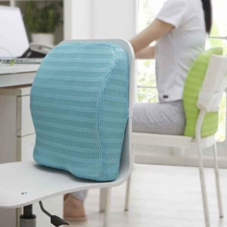 HealthSense Soft-Spot BC21 Memory Foam Ice Blue Orthopedic Backrest Cushion for Study