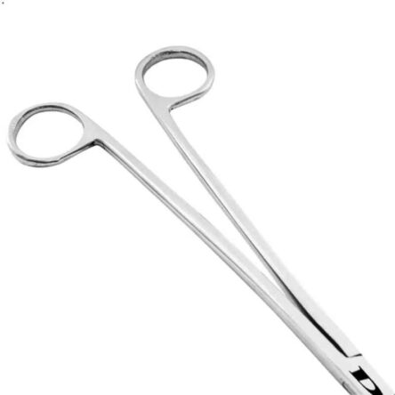 Desco 10 inch Stainless Steel Ovum Forceps