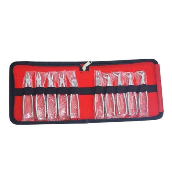 Forgesy Imported Dental Tooth Extraction (Pack of 10)