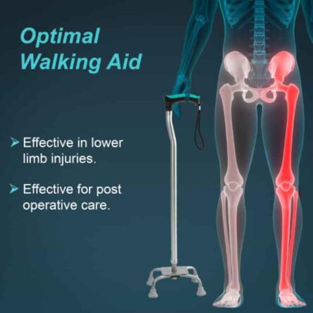 Tynor Quadripod Walking Stick