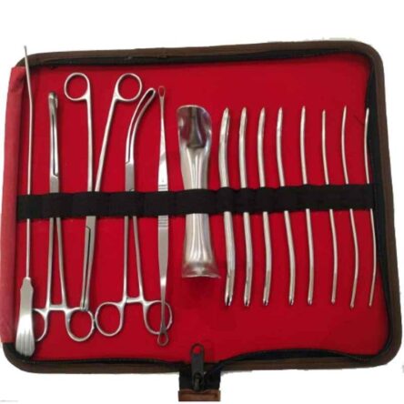 Forgesy 15 Pcs Stainless Steel D & C Surgical Instrument Set