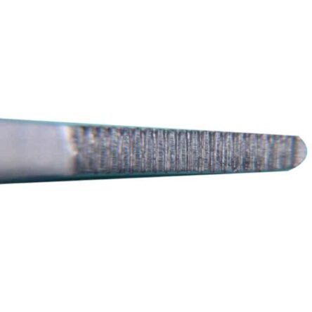 KDB 3 inch Stainless Steel Plain Dissecting Forceps