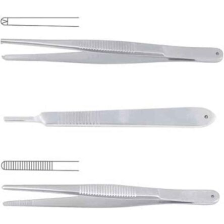 Forgesy 2 Pcs 6 inch Stainless Steel Dissecting Tooth & Dissecting Plain Forcep Set