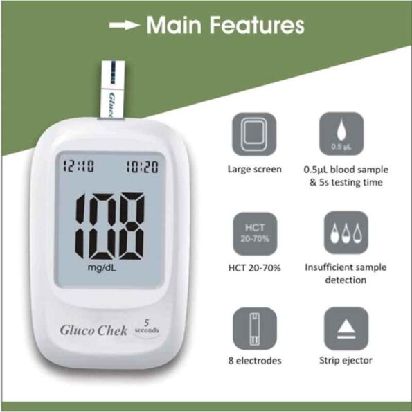 10 Pcs Lancets & Blood Glucose Glucometer Kit