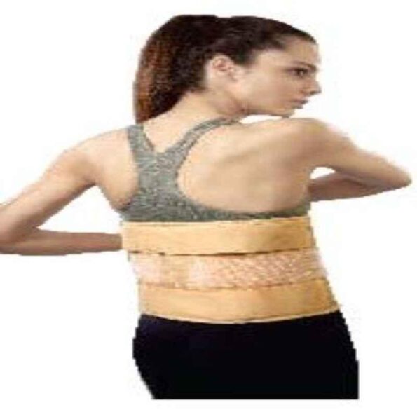 Vissco L Deluxe Frame Back Support