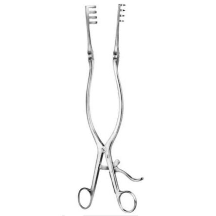Alis 31cm/12 1/4 inch Beckmann 4: 4 Teeth Sharp