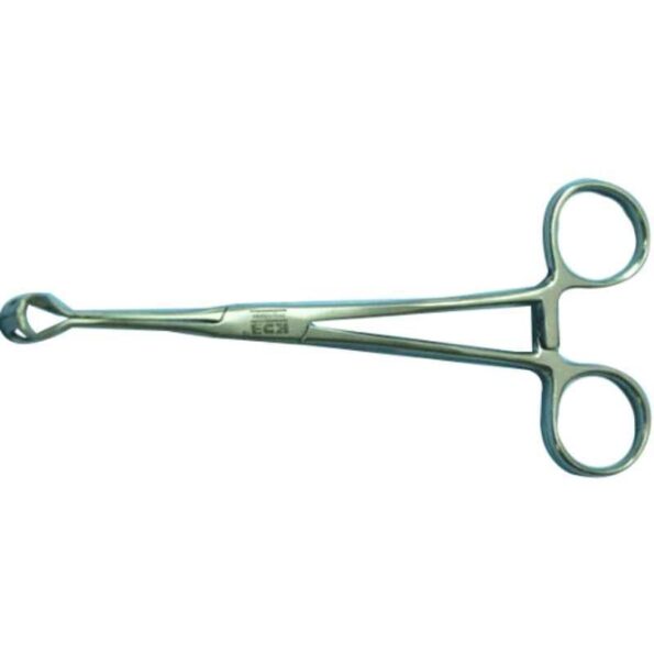 KDB 8 inch Stainless Steel Babcock Forceps