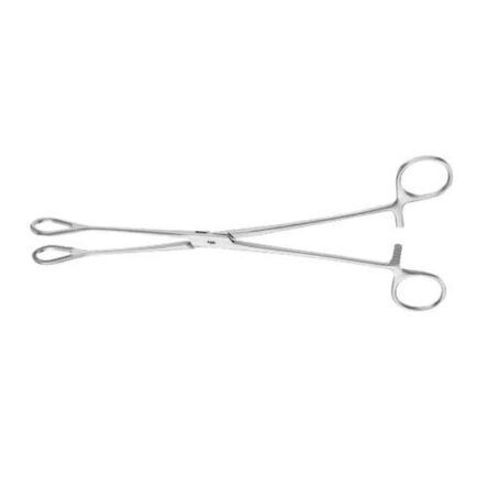 CR Exim 8-16cm Stainless Steel Sponge Holding Forcep for Hospital (Pack of 3)