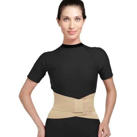 Flamingo Lumbar Corset Belt